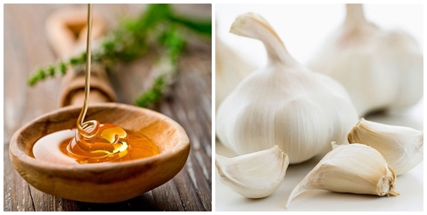 Cách chữa đua dạ dày bằng tỏi và mật ong
